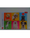 Puzzle 500el Psy 37378 TREFL - nr 1