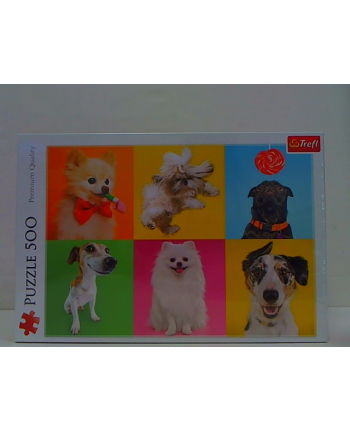 Puzzle 500el Psy 37378 TREFL