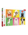 Puzzle 500el Psy 37378 TREFL - nr 2