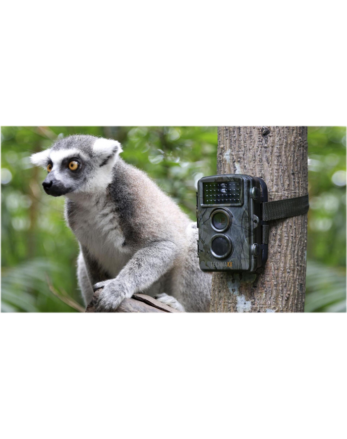 technaxx deutschland gmbh & co. kg TX-69 Nature Wild Cam Kamera myśliwska główny
