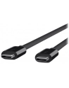 belkin Kabel Thunderbolt 3 c-c 40Gbps 0,8m - nr 8