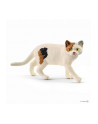 Schleich 13894 Kot amerykański krótkowłosy - nr 2