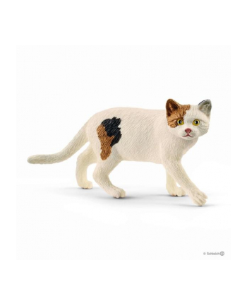 Schleich 13894 Kot amerykański krótkowłosy