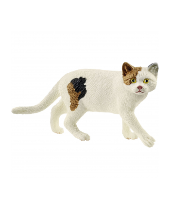 Schleich 13894 Kot amerykański krótkowłosy nr 1