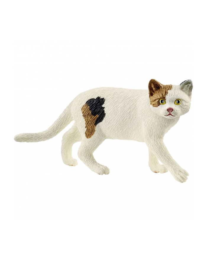 Schleich 13894 Kot amerykański krótkowłosy główny