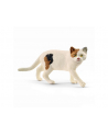 Schleich 13894 Kot amerykański krótkowłosy - nr 4
