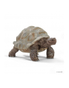 Schleich 14824 Żółw Gigant - nr 1