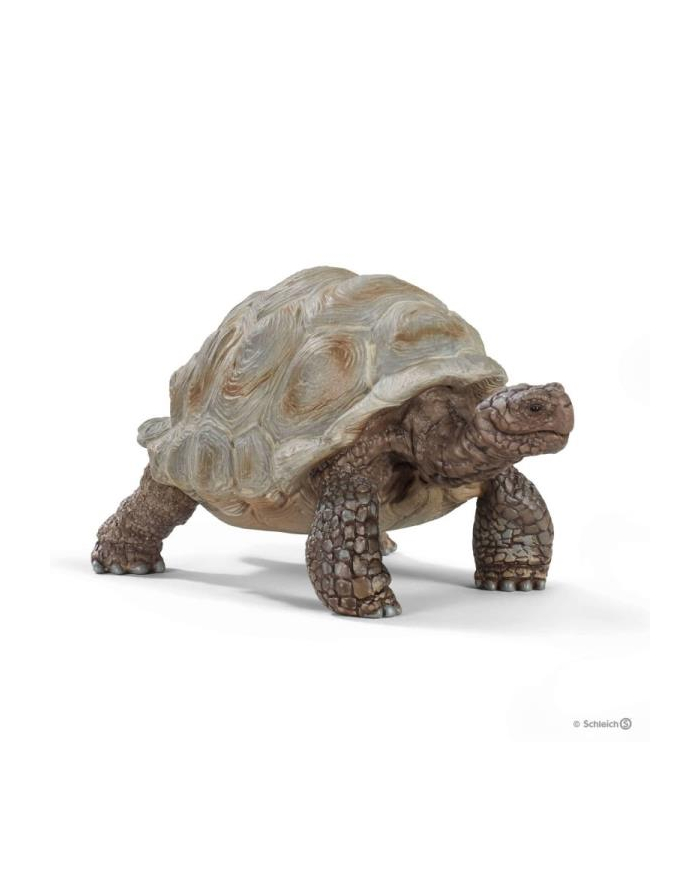 Schleich 14824 Żółw Gigant główny