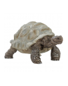 Schleich 14824 Żółw Gigant - nr 2