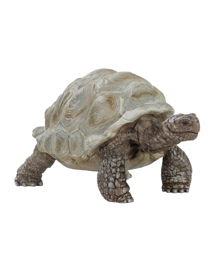 Schleich 14824 Żółw Gigant główny