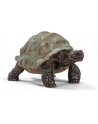 Schleich 14824 Żółw Gigant - nr 4