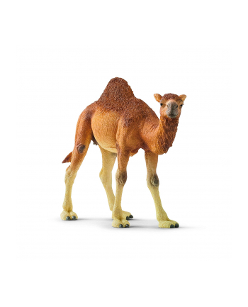 Schleich 14832 Dromader