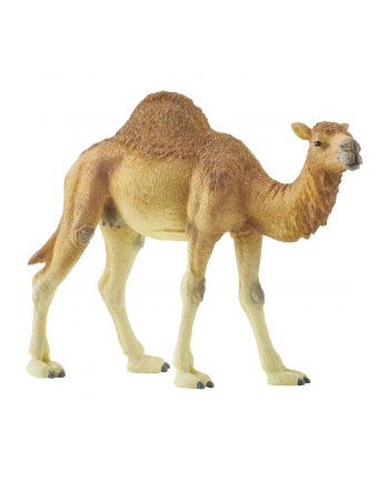 Schleich 14832 Dromader