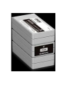EPSON GJIC5(N) pour matricielles GP-C831 et GP-M831 - nr 15