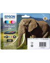 EPSON 24 Ink cartridge black and five colour standard capacity 29.1ml 1-pack RF-AM blister - nr 10