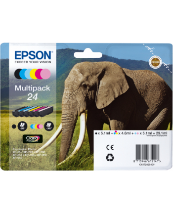 EPSON 24 Ink cartridge black and five colour standard capacity 29.1ml 1-pack RF-AM blister