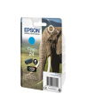 EPSON C13T24224012 Tusz Epson T2422 cyan 4,6 ml XP-750/850 - nr 17