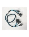 INTEL A2U4PSWCXCXK1 Cable Kit Oculink 2U 4 port Switch Card for Riser 1 or 2 to Left Drive Bay - nr 1