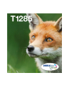 EPSON EasyMail MP Fox-DURABrite Ultra N C M J - nr 14