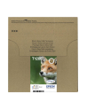 EPSON EasyMail MP Fox-DURABrite Ultra N C M J - nr 15