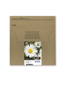 EPSON EasyMail MP Daisy-Claria Home N C M J - nr 10