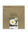 EPSON EasyMail MP Daisy-Claria Home N C M J - nr 5