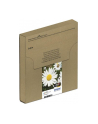 EPSON EasyMail MP Daisy-Claria Home N C M J - nr 6