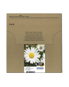 EPSON EasyMail MP Daisy-Claria Home N C M J - nr 8