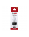 CANON INK GI-40 PGBK - nr 6