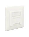 DELOCK 86195 Delock gniazdo podtynkowe podwójne 2 X LSA BLOCK -> 2X RJ45 kat. 6A - nr 10