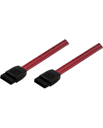 ic intracom MANHATTAN 340700 Manhattan Kabel Serial ATA do dysku twardego 50 cm