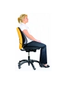 FELLOWES 9191301 Fellowes podpórka pod plecy siatkowa Office Suites™ - nr 15