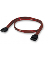 ic intracom MANHATTAN 340700 Manhattan Kabel Serial ATA do dysku twardego 50 cm - nr 1