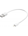 SANDBERG 441-19 Sandberg Kabel USB - Lightning MFI 0.2m - nr 10