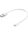SANDBERG 441-19 Sandberg Kabel USB - Lightning MFI 0.2m - nr 5