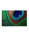 EPSON V11H961040 Projektor EPSON EH-TW7000 HC, 4K4K PRO-UHD enhancement, 3000 lumen,40,000:1 - nr 20