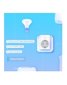 TPLINK Tapo P100(1-pack) TP-Link Tapo P100 - nr 19