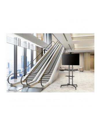 NEWSTAR PLASMA-M1700Ex NewStar Stojak Mobilny, Wózek do LED/LCD- (wysokość: 155-170 cm)