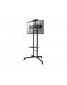 NEWSTAR PLASMA-M1700Ex NewStar Stojak Mobilny, Wózek do LED/LCD- (wysokość: 155-170 cm) - nr 19
