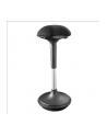 LOGILINK EO0011 LOGILINK - Ergonomiczny stołek z regulacją - nr 2