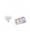 GEMBIRD LC-PTU-01/100 Gembird wtyk sieciowy RJ45 (100 sztuk) przelotowy UTP,8P8C,do drutów i linek - nr 2