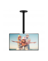 TECHLY 102345 Techly Uchwyt sufitowy do TV LED/LCD/PLAZMA 23-37 45kg regulowany VESA czarn - nr 10