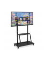 TECHLY 105575 Techly Stojak mobilny do dużych TV LCD/LED/Plazma 55-100 150kg VESA półka - nr 24