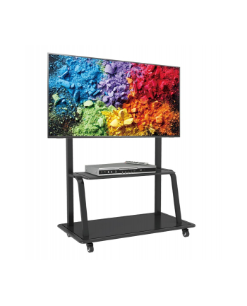 TECHLY 105575 Techly Stojak mobilny do dużych TV LCD/LED/Plazma 55-100 150kg VESA półka