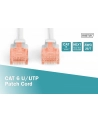 DIGITUS DK-1612-100 Kabel Digitus patch cord UTP, CAT.6, szary, 10,0m, 15 LGW - nr 4