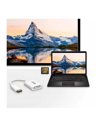 ATEN VC965-AT ATEN VC965 DisplayPort to DVI Adapter