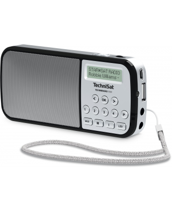 technisat TCS 0002/3922 TECHNIRADIO RDR, srebrny