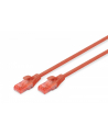 DIGITUS DK-1612-050/R Kabel Digitus patch cord UTP, CAT.6, czerwony, 5,0m, 15 LGW - nr 5