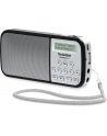 technisat TCS 0002/3922 TECHNIRADIO RDR, srebrny - nr 1