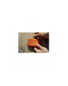lacie Dysk zewnętrzny Rugged SSD 1TB USB-C STHR1000800 - nr 17